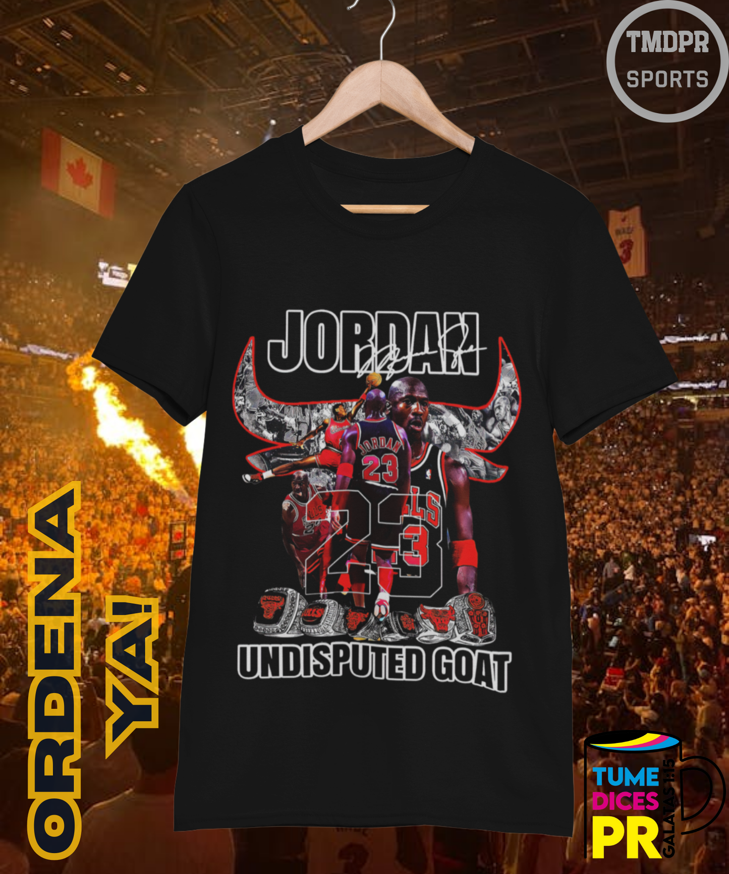 Camiseta semitono NBA MICHAEL JORDAN 2