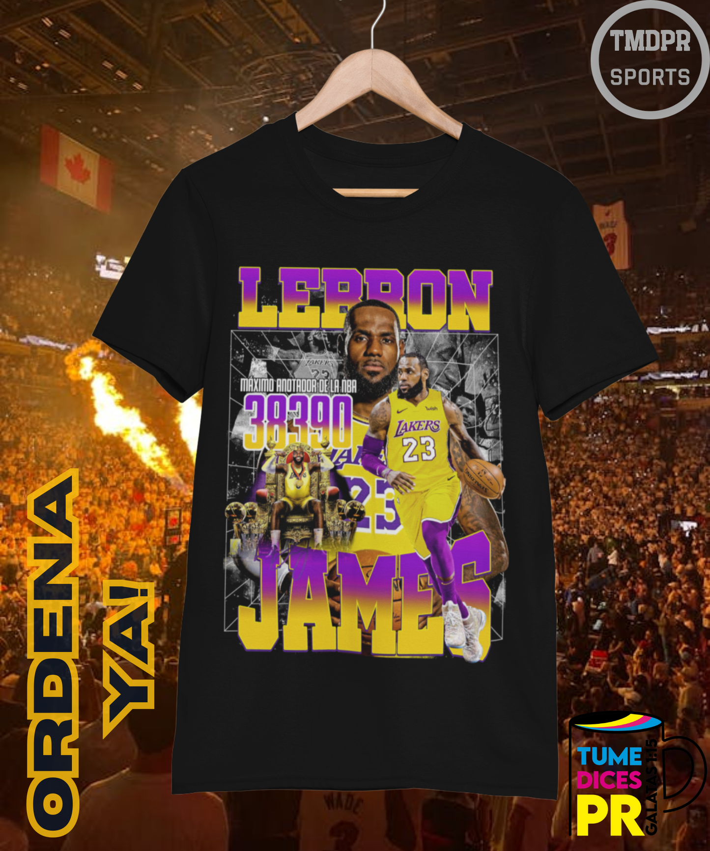 Camiseta semitono NBA LAKERS 2