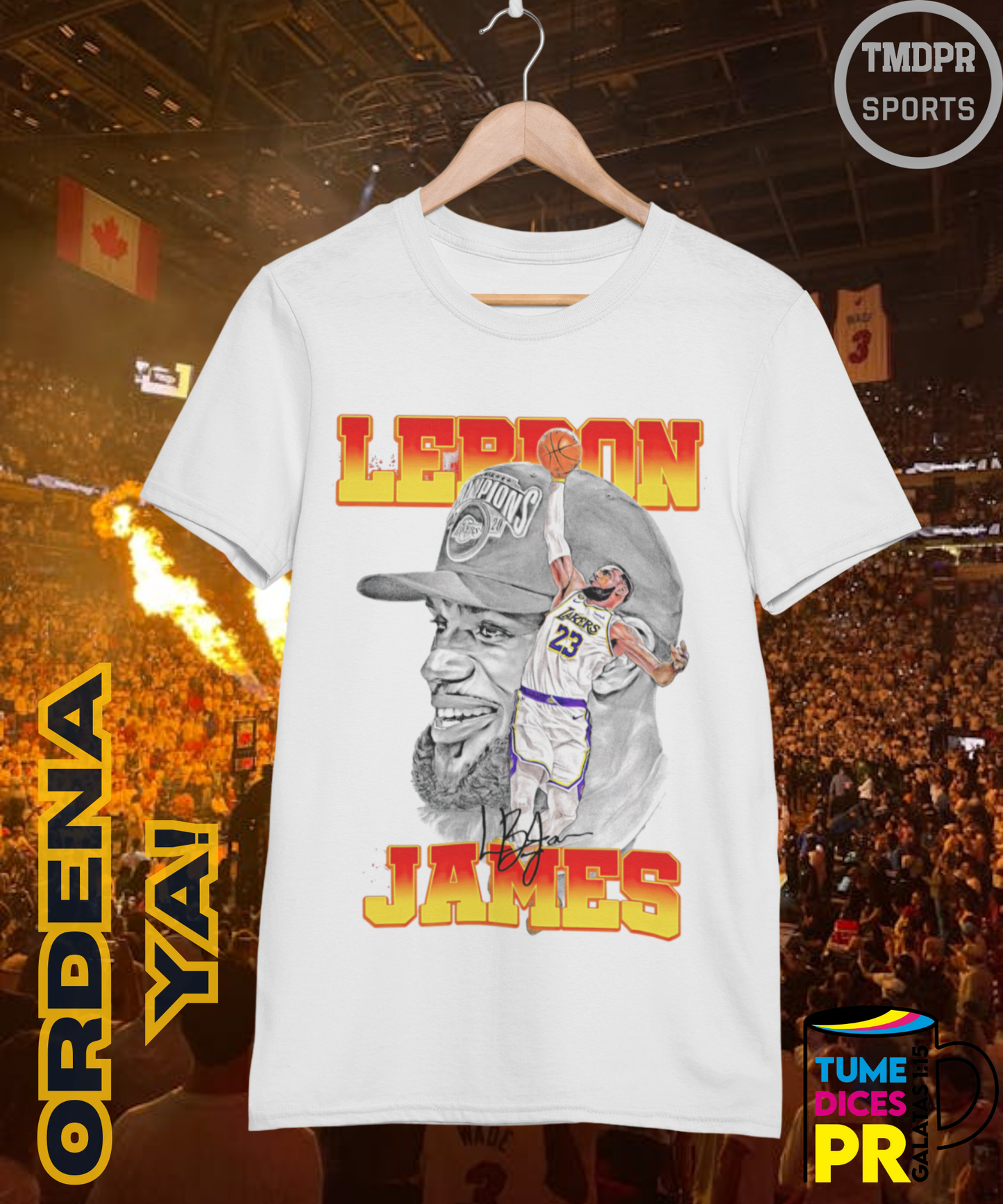 Camiseta semitono NBA LAKERS 2