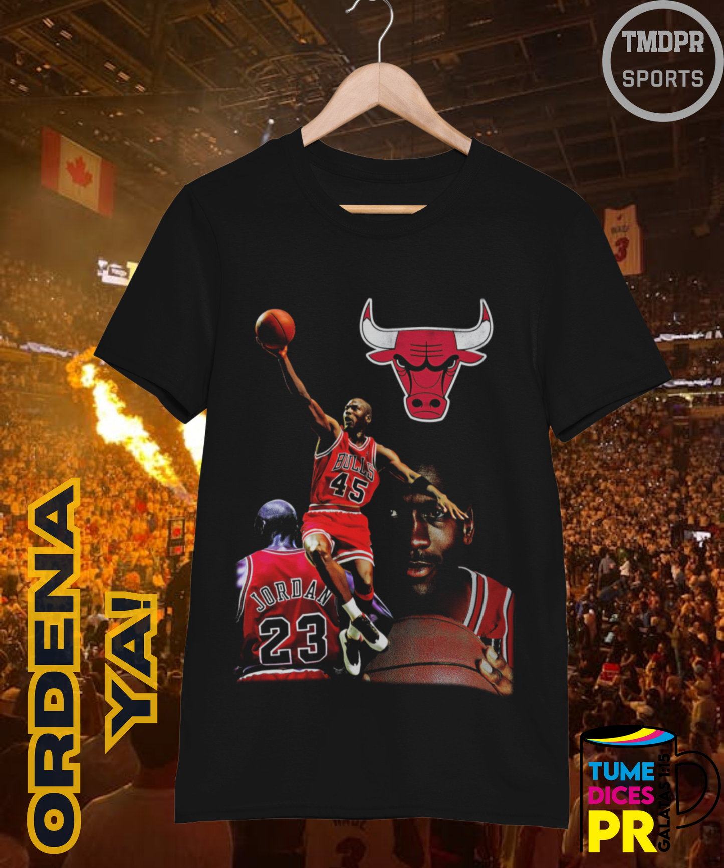 Camiseta semitono NBA MICHAEL JORDAN 2