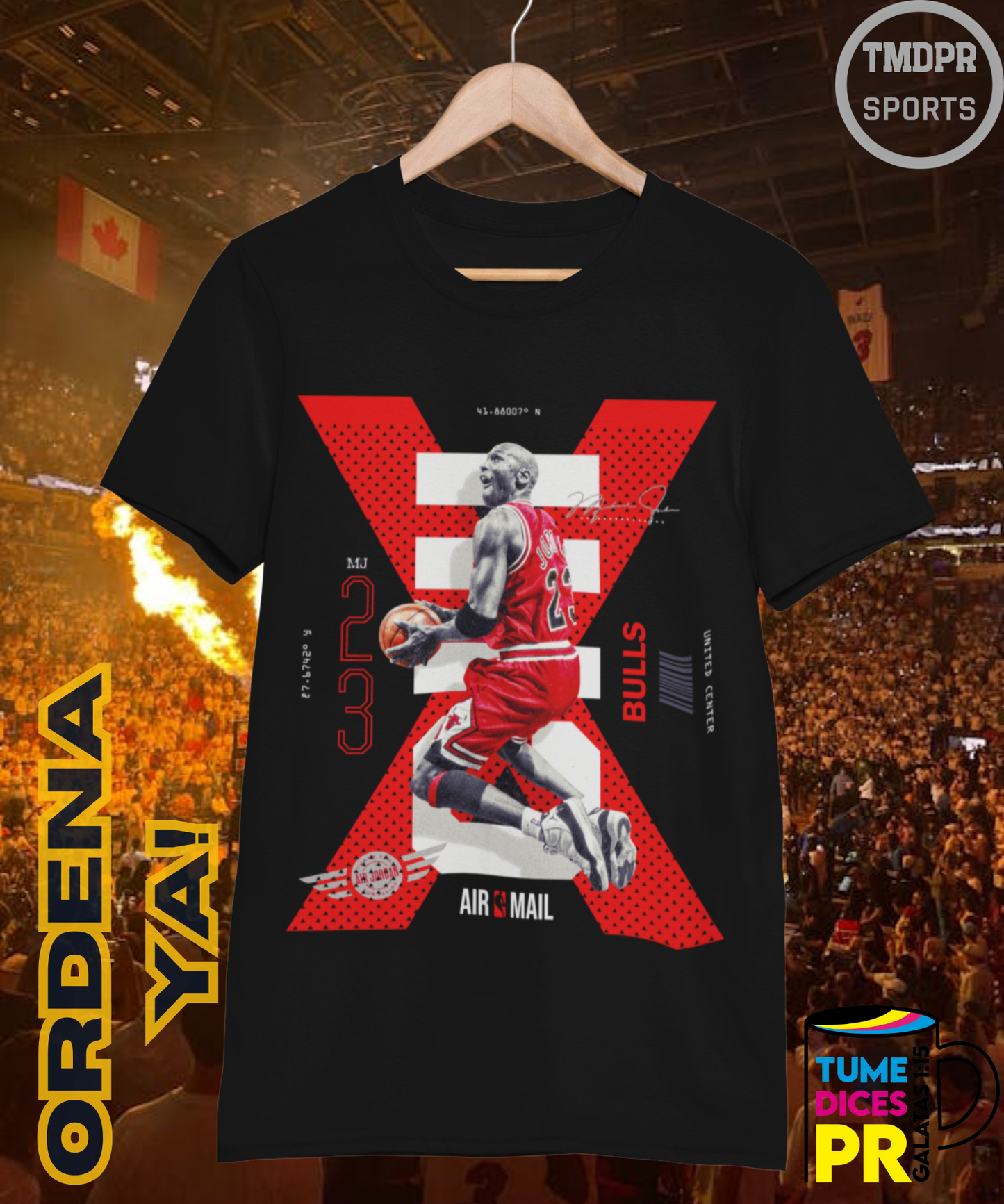 Camiseta semitono NBA MICHAEL JORDAN 2