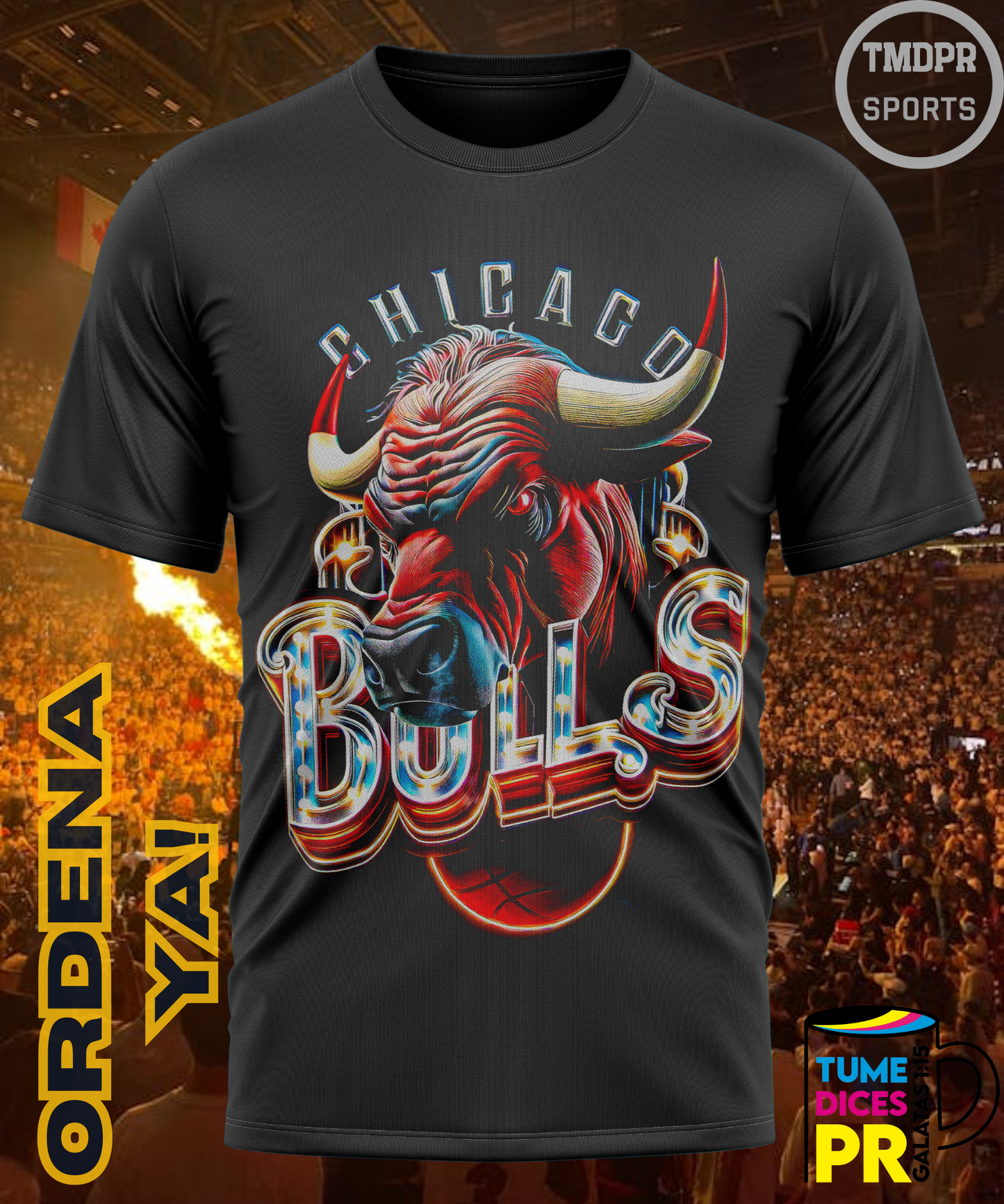 Camiseta semitono NBA CHICAGO BULLS
