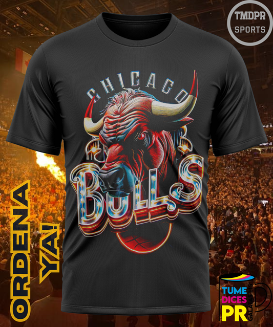 Camiseta semitono NBA CHICAGO BULLS