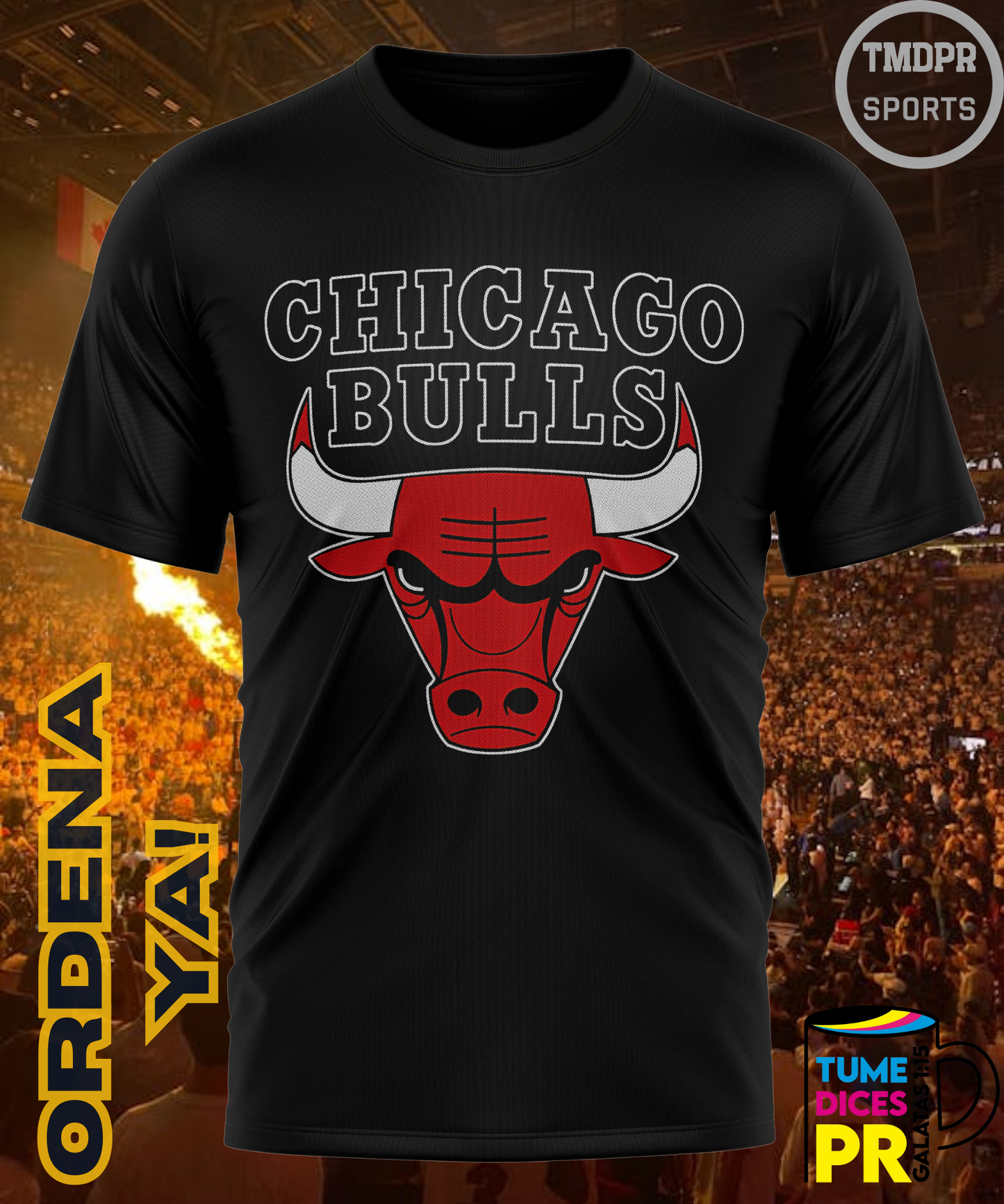 Camiseta semitono NBA CHICAGO BULLS