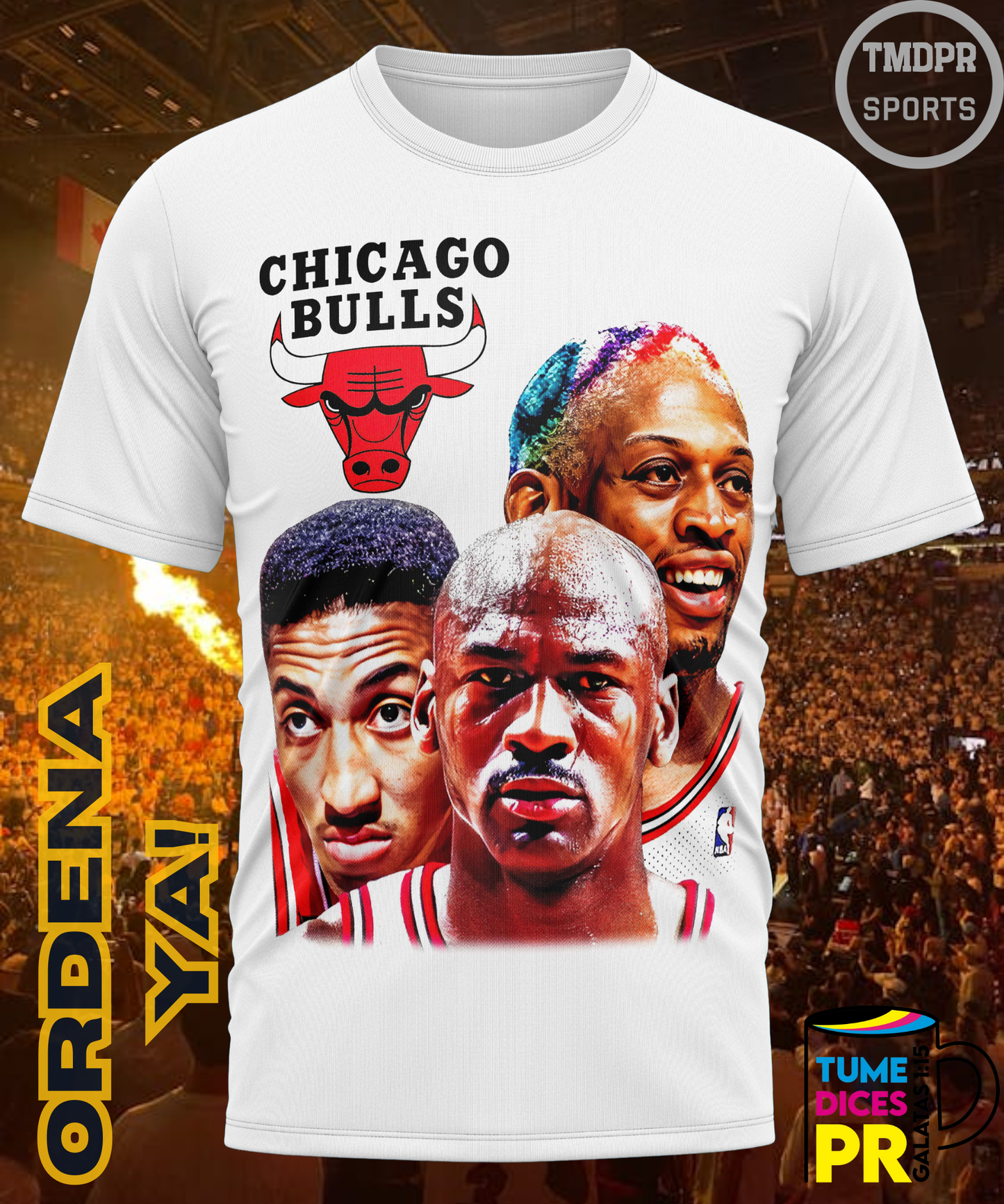 Camiseta semitono NBA CHICAGO BULLS