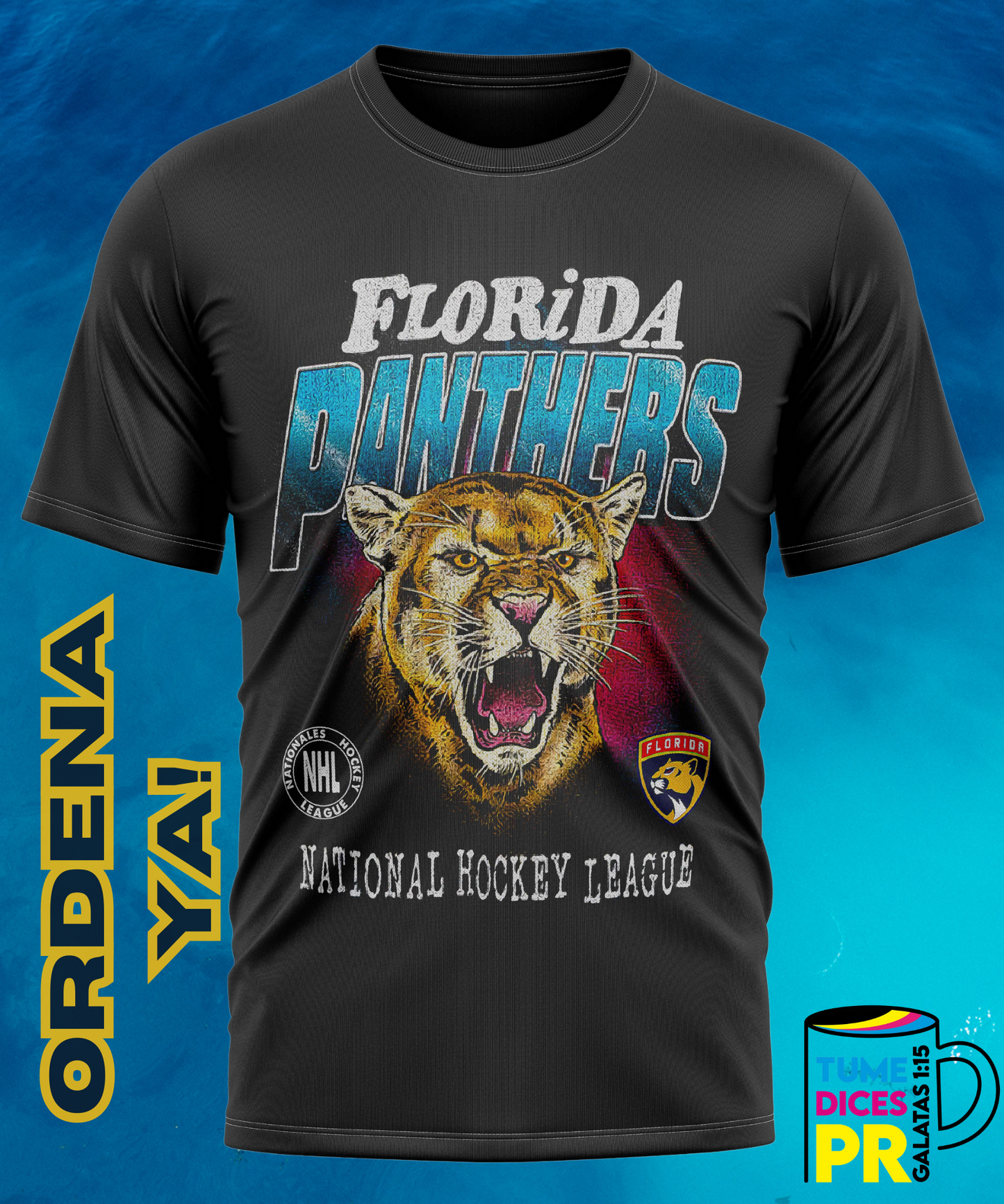 Camiseta semitono NFL