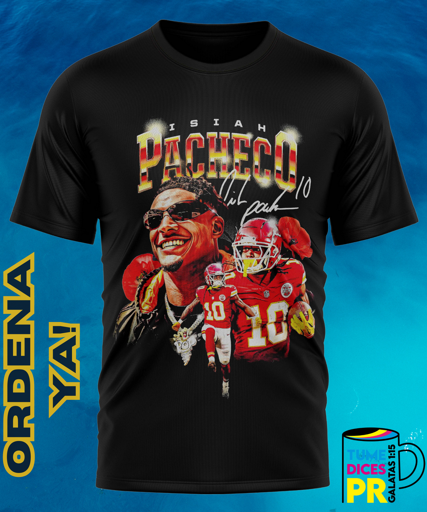 Camiseta semitono NFL