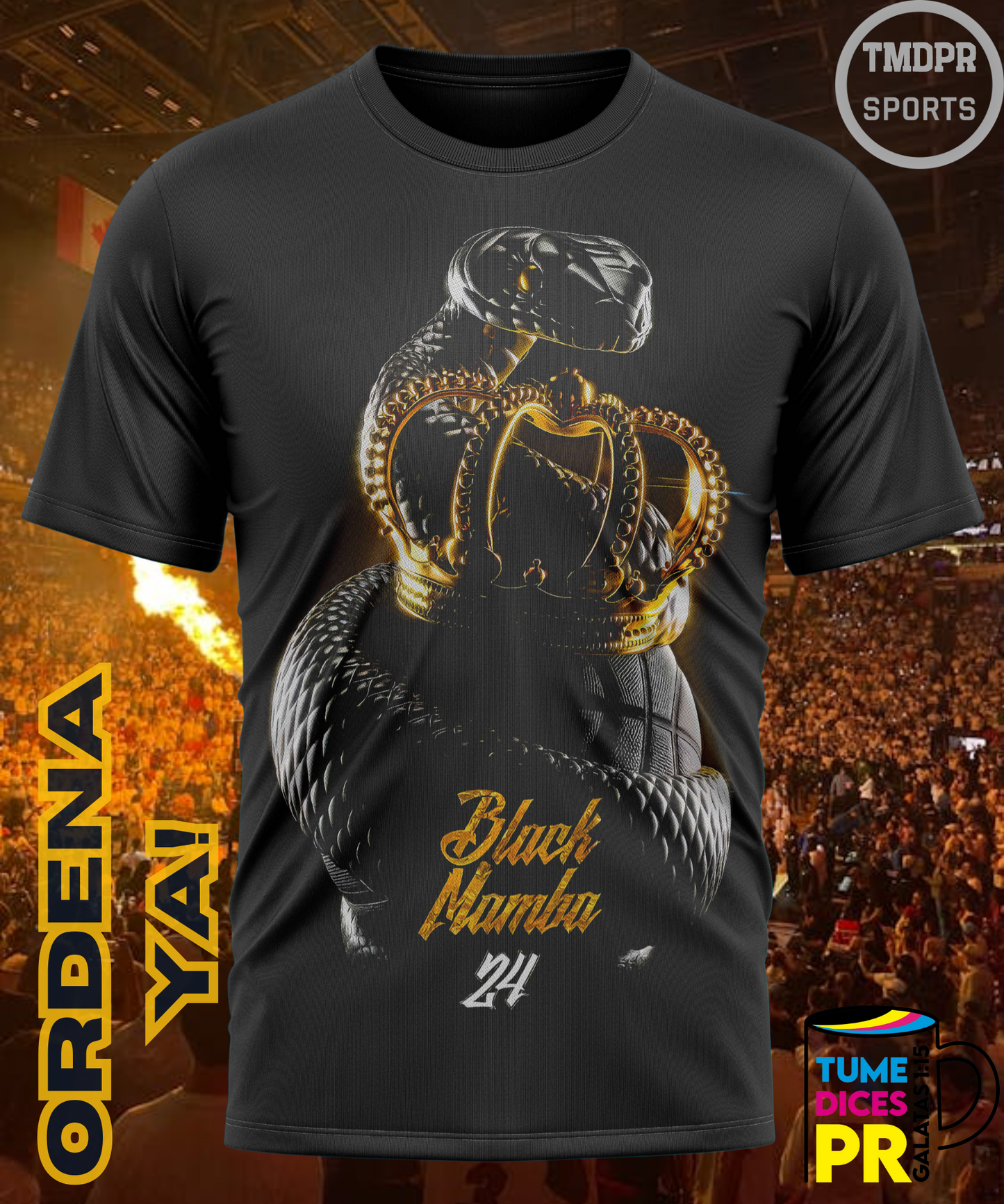 Camiseta semitono NBA LAKERS