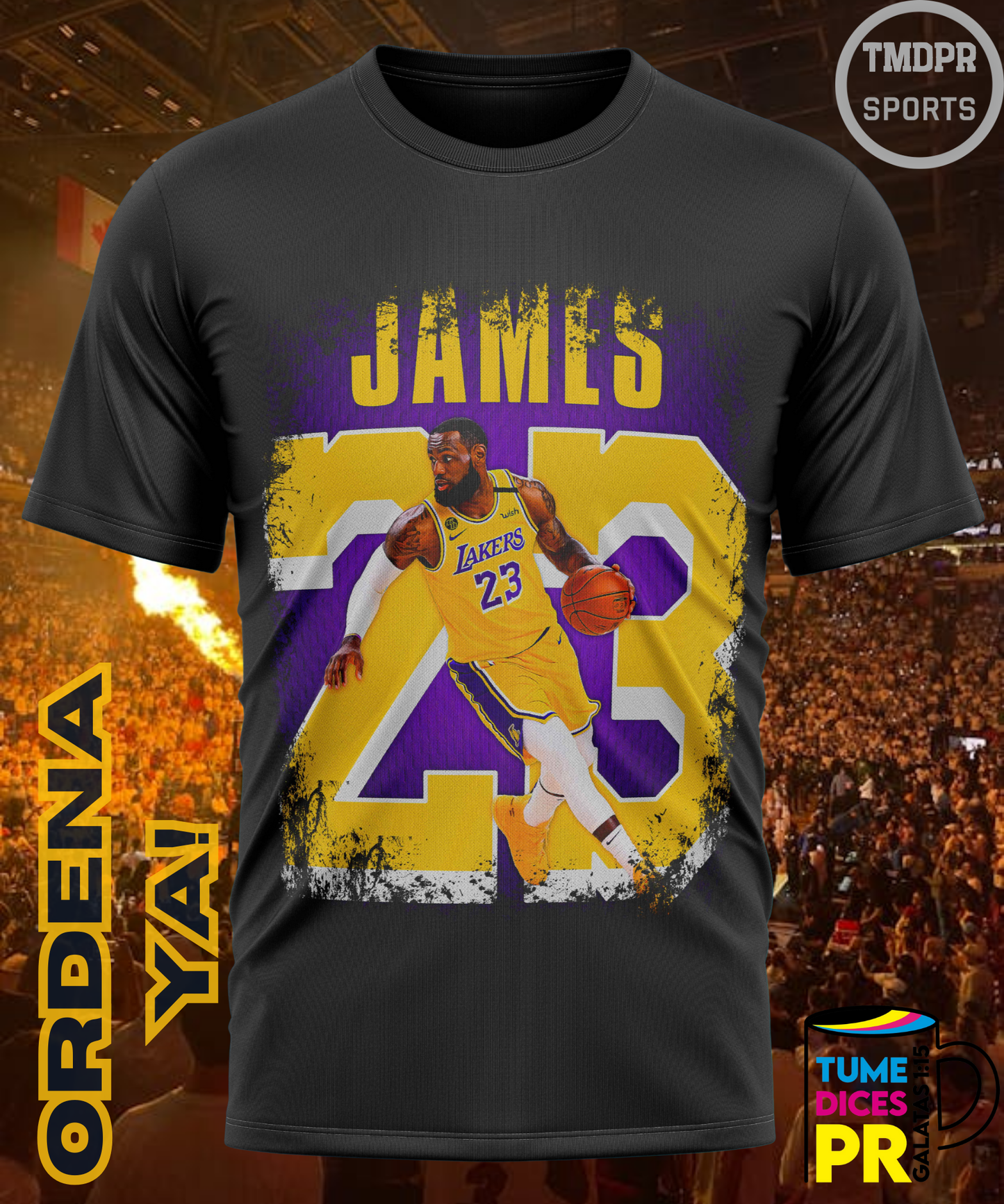 Camiseta semitono NBA LAKERS