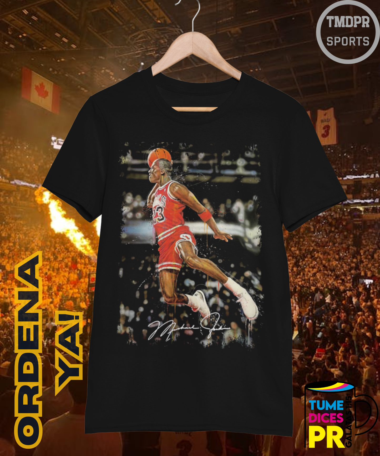 Camiseta semitono NBA MICHAEL JORDAN