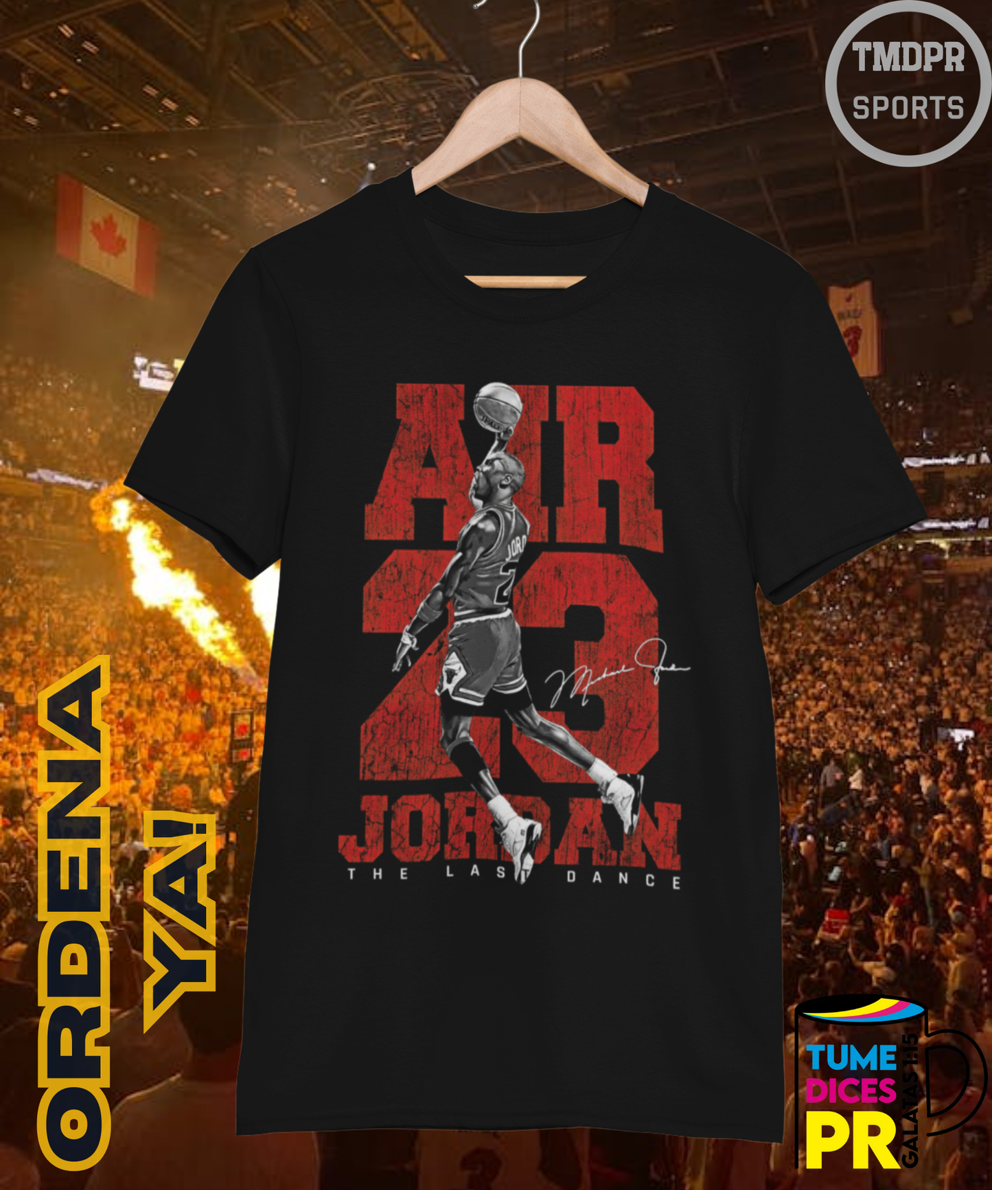 Camiseta semitono NBA MICHAEL JORDAN
