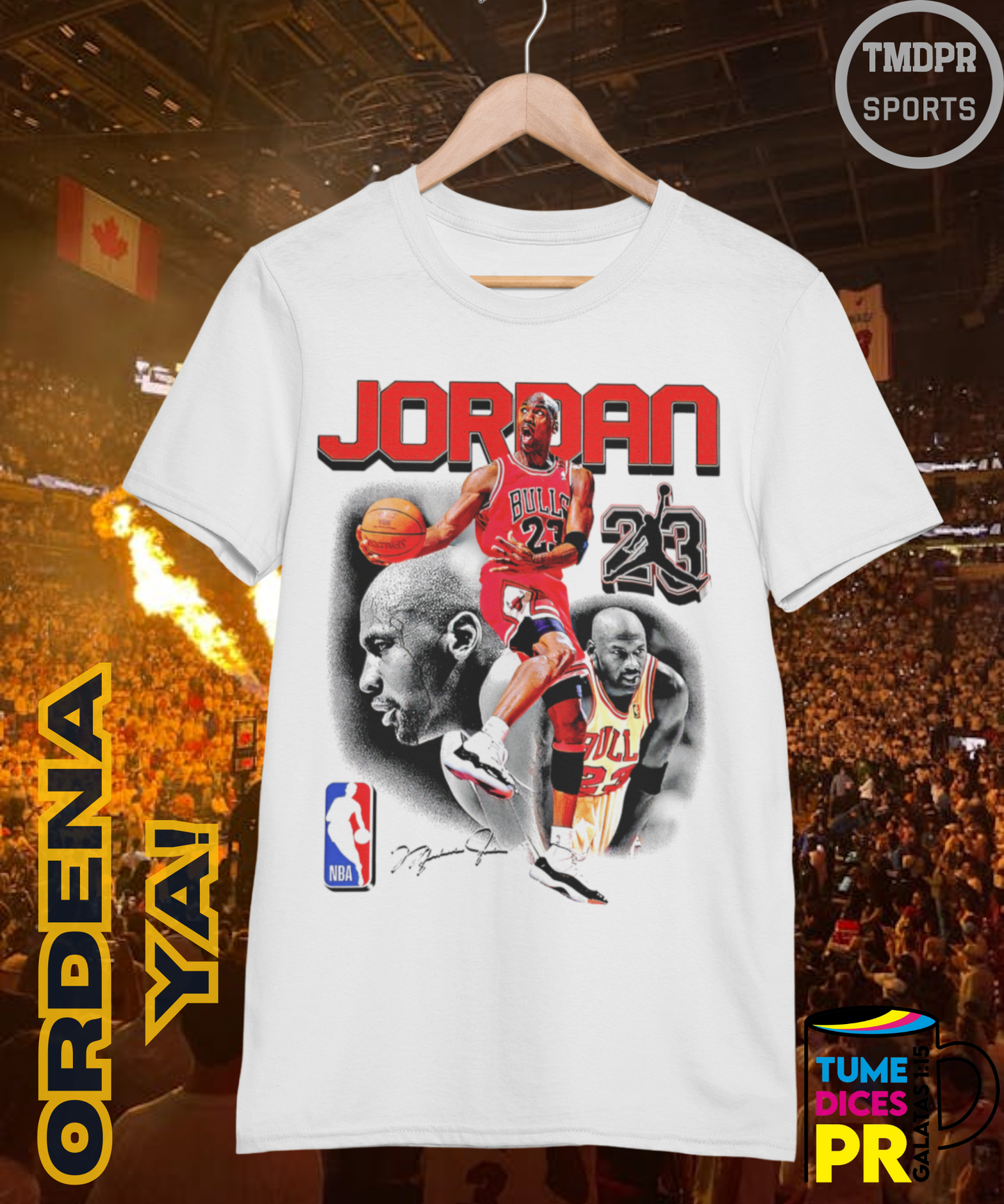 Camiseta semitono NBA MICHAEL JORDAN 2