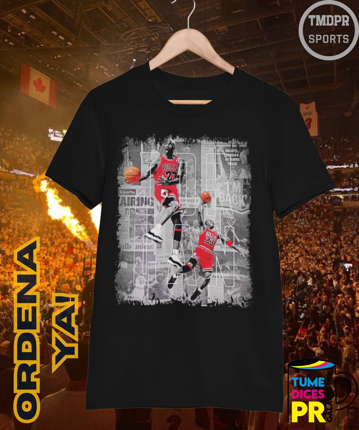Camiseta semitono NBA MICHAEL JORDAN 2