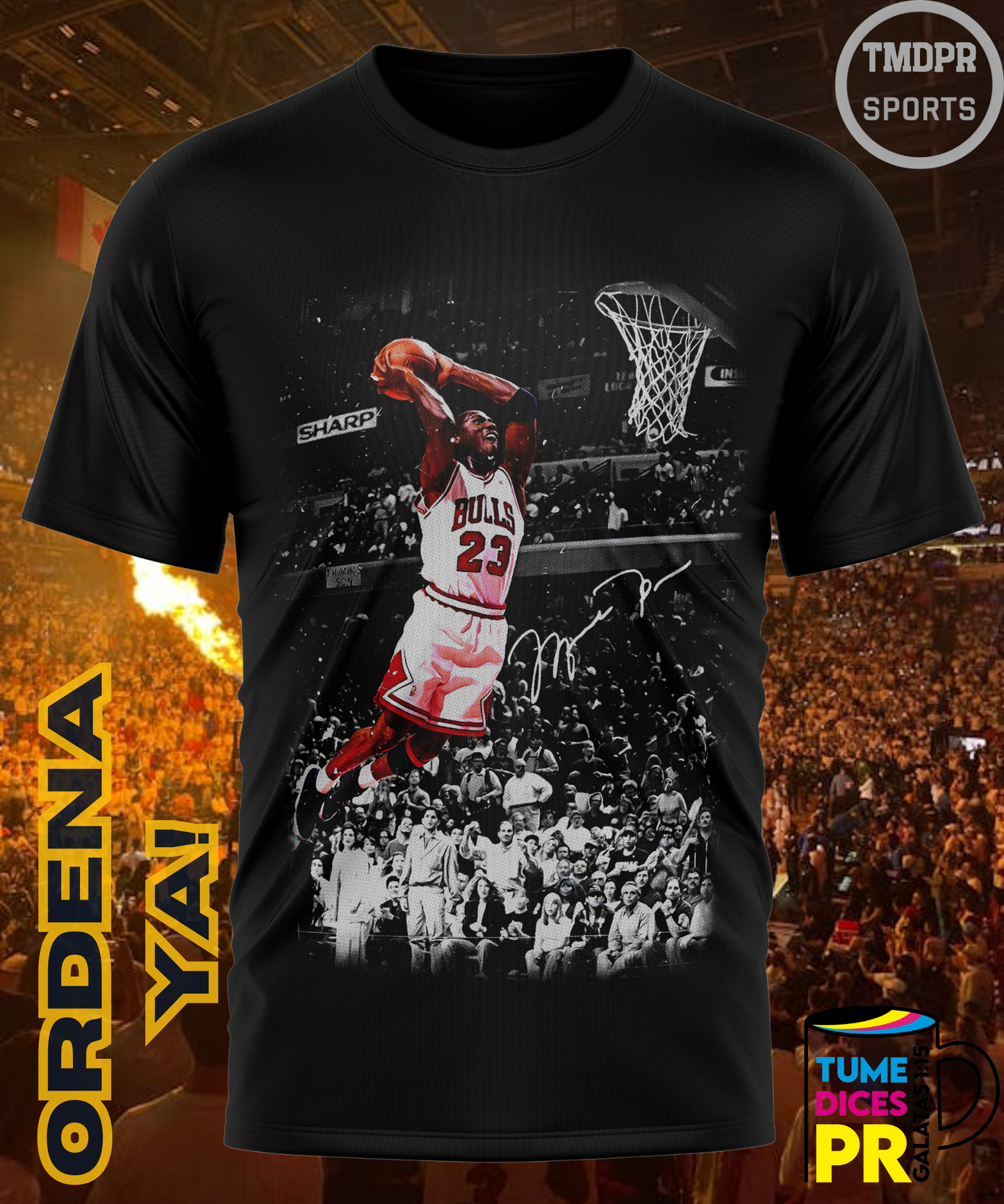 Camiseta semitono NBA MICHAEL JORDAN