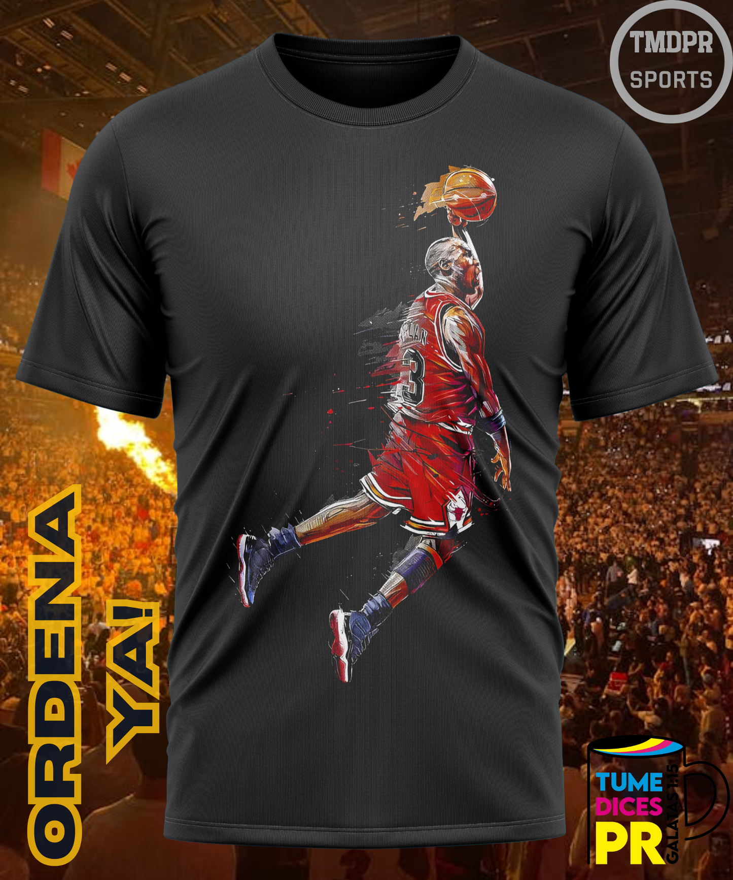 Camiseta semitono NBA MICHAEL JORDAN