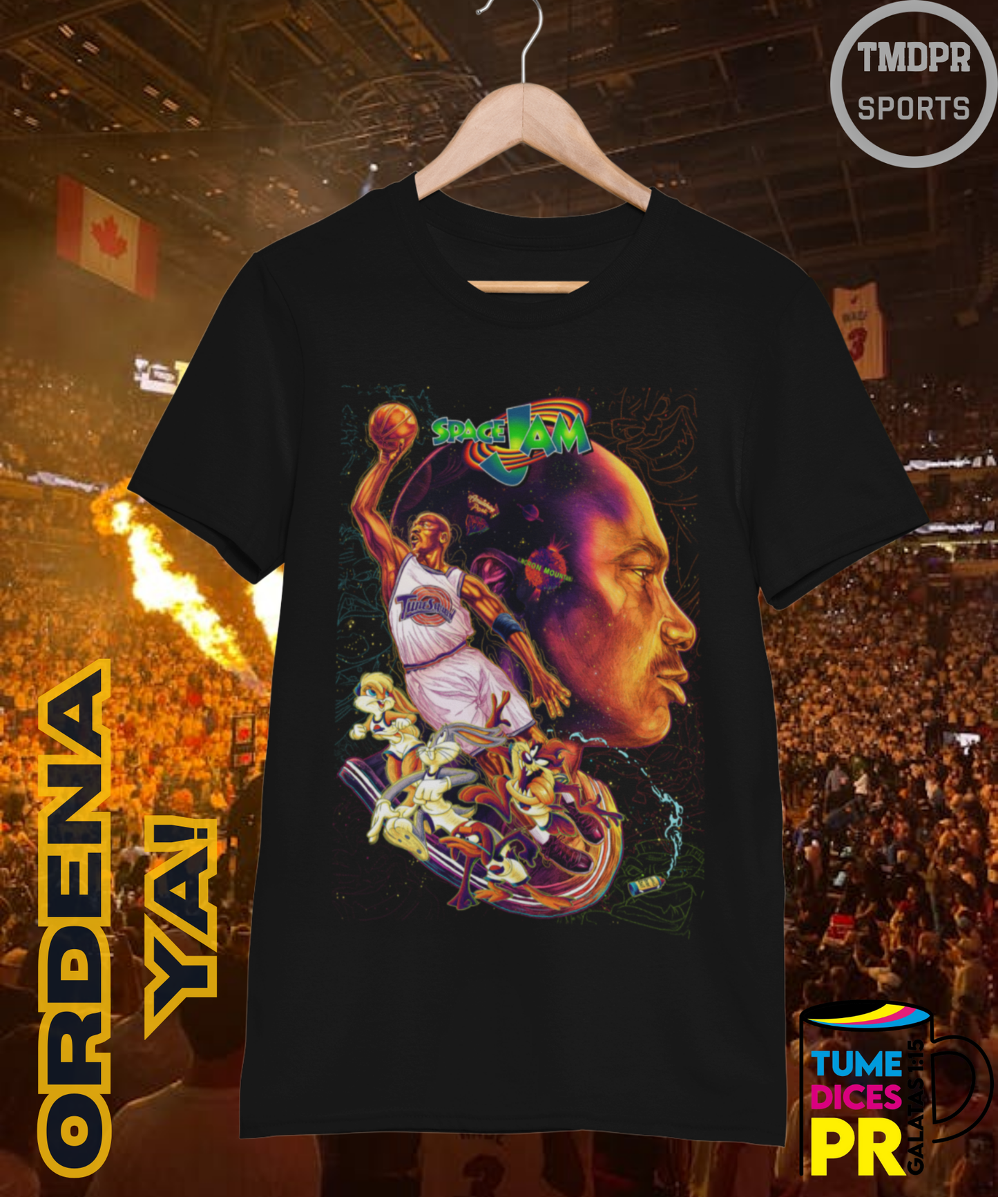 Camiseta semitono NBA MICHAEL JORDAN