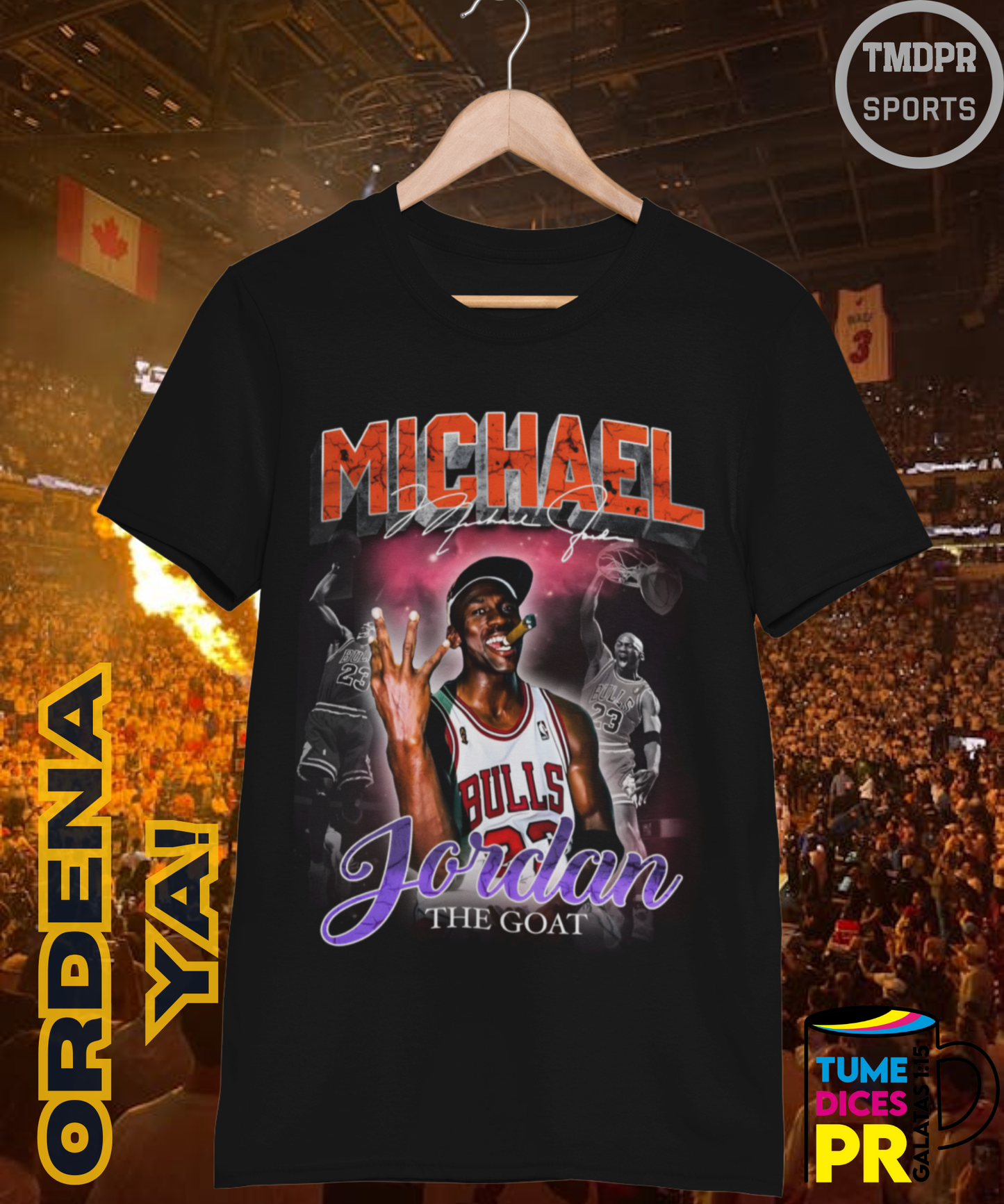Camiseta semitono NBA MICHAEL JORDAN