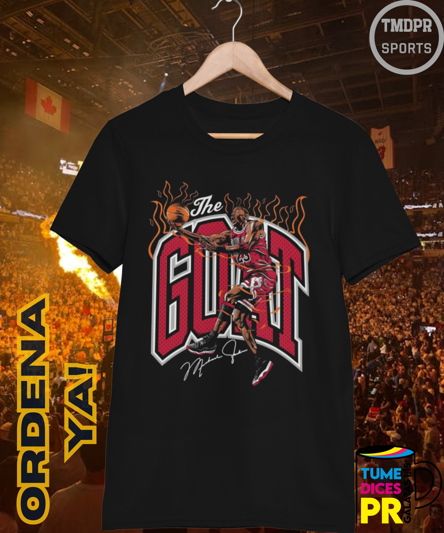 Camiseta semitono NBA MICHAEL JORDAN