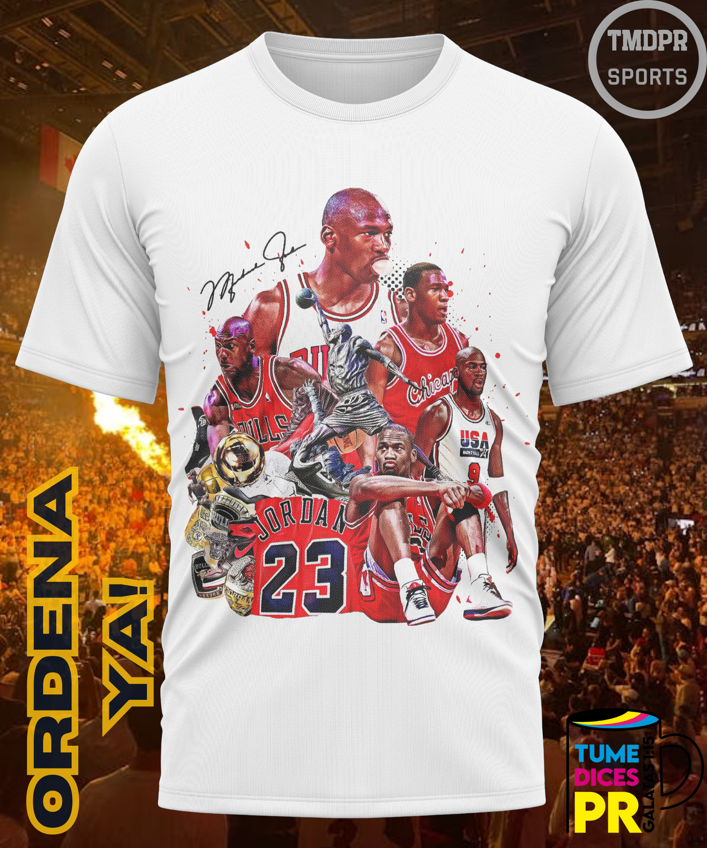 Camiseta semitono NBA MICHAEL JORDAN