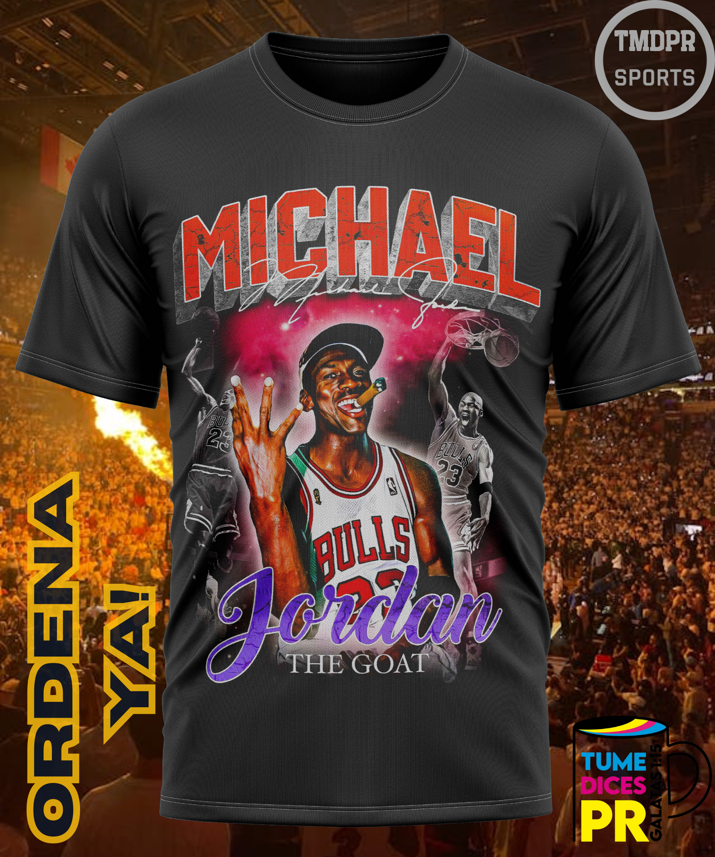 Camiseta semitono NBA MICHAEL JORDAN