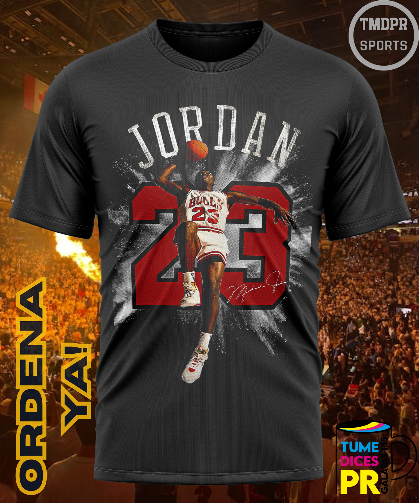 Camiseta semitono NBA MICHAEL JORDAN