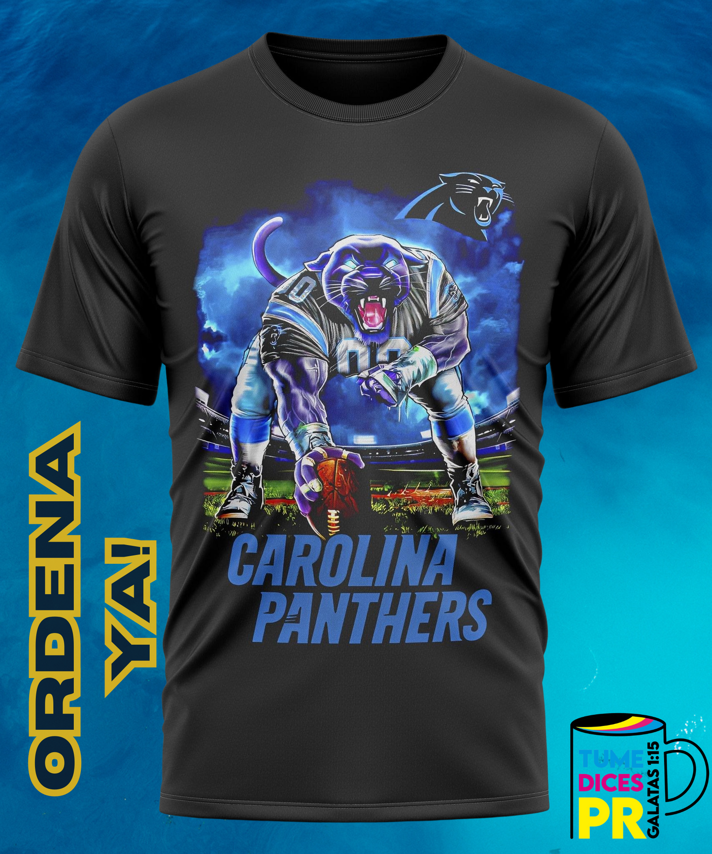 Camiseta semitono NFL 2