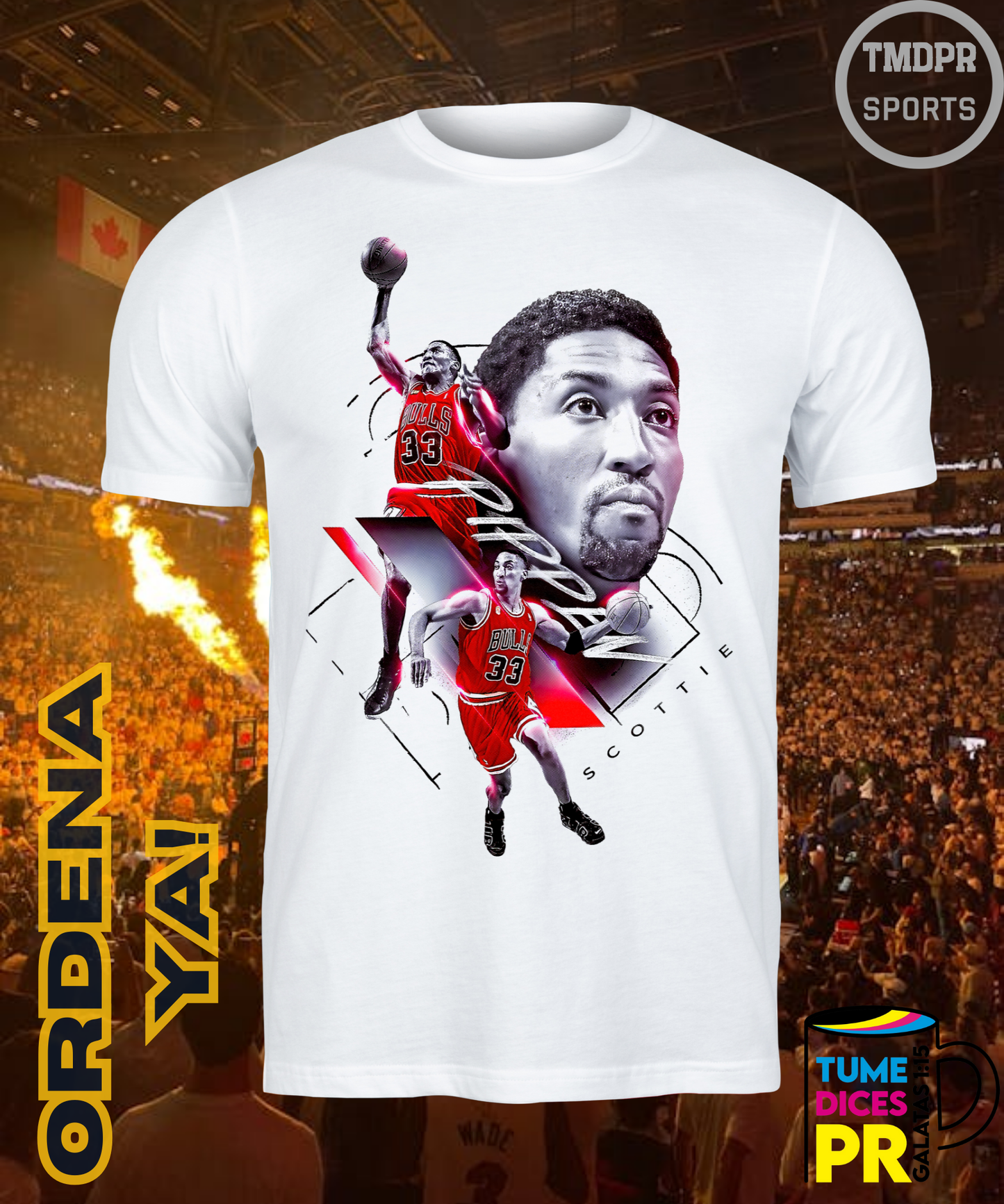 Camiseta semitono NBA CHICAGO BULLS