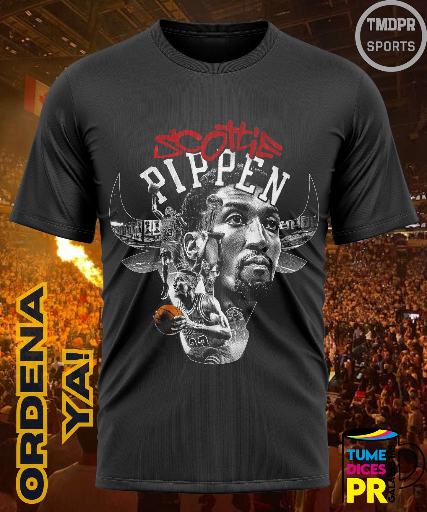 Camiseta semitono NBA CHICAGO BULLS