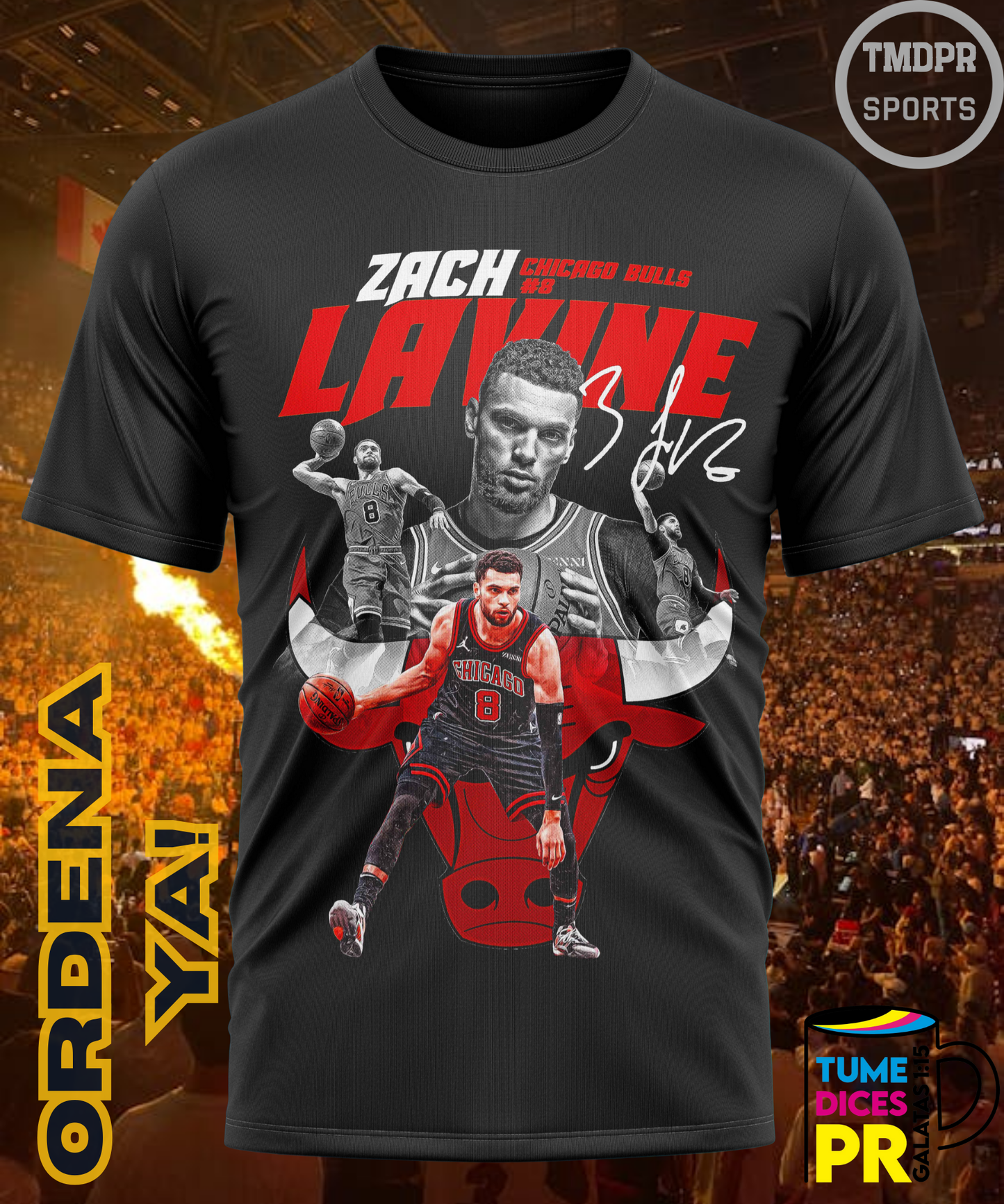 Camiseta semitono NBA CHICAGO BULLS