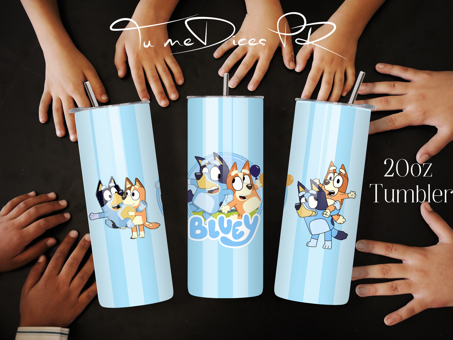 BLUEY Skinny Tumbler