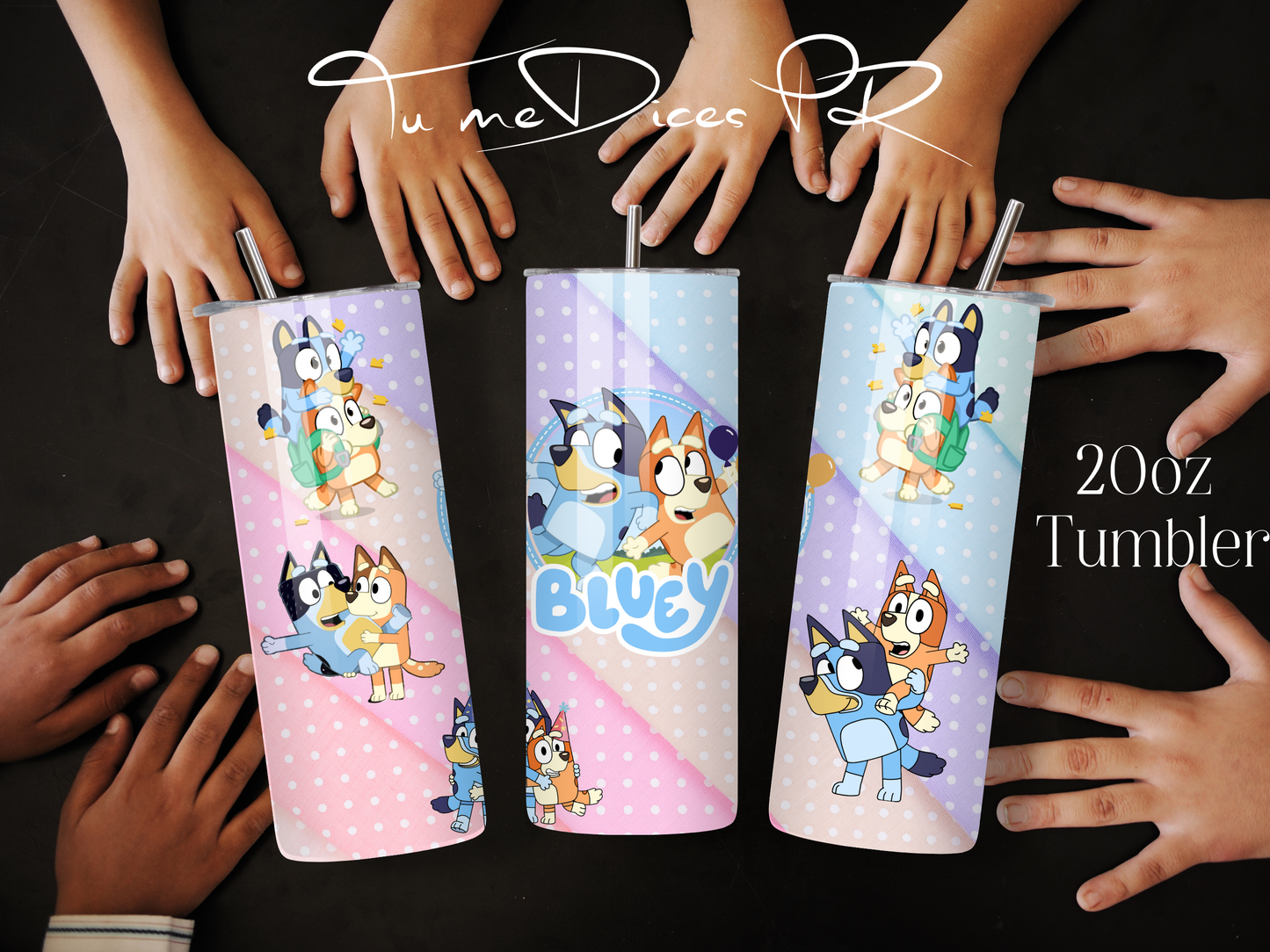 BLUEY Skinny Tumbler