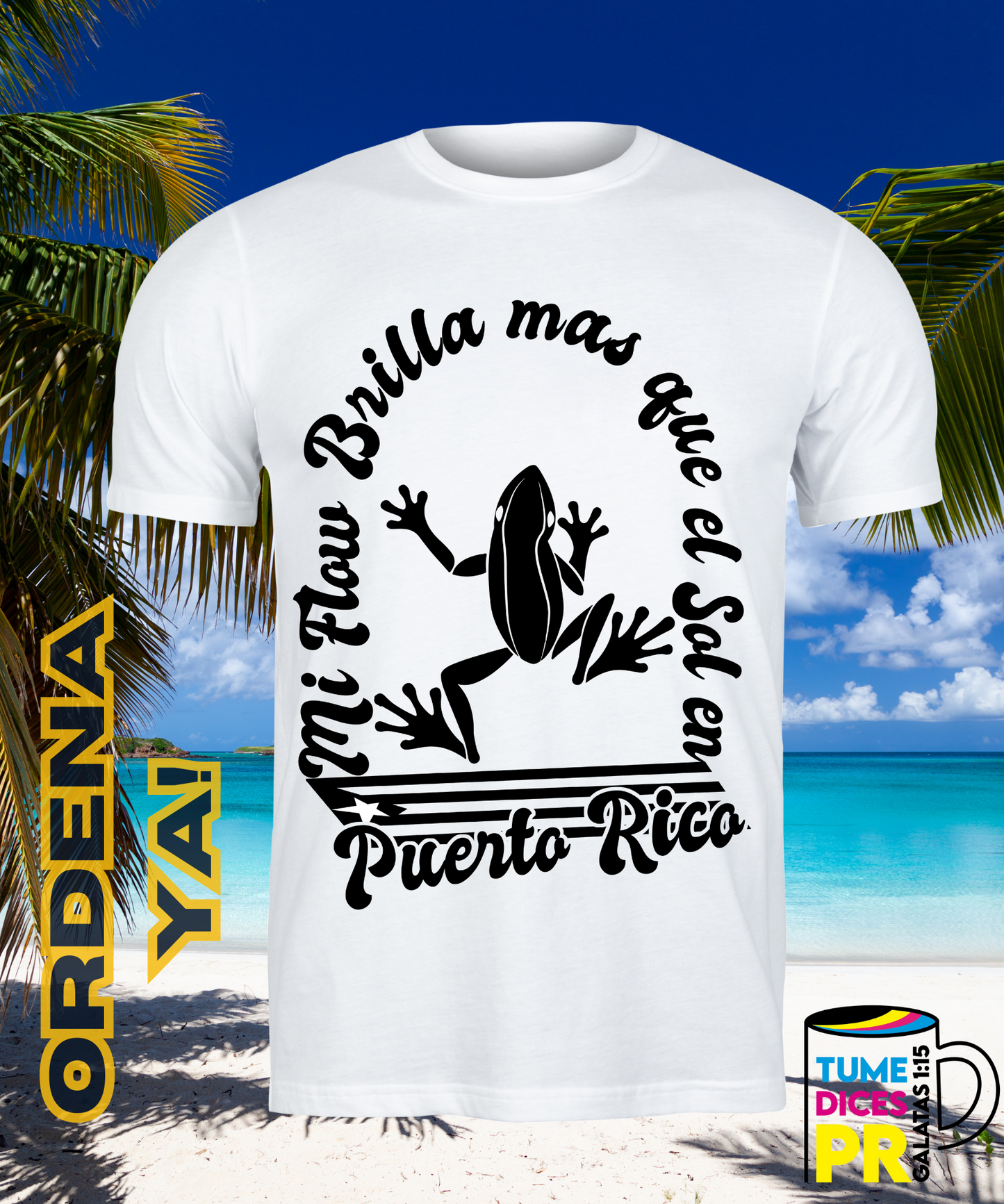PUERTO RICO Camisetas