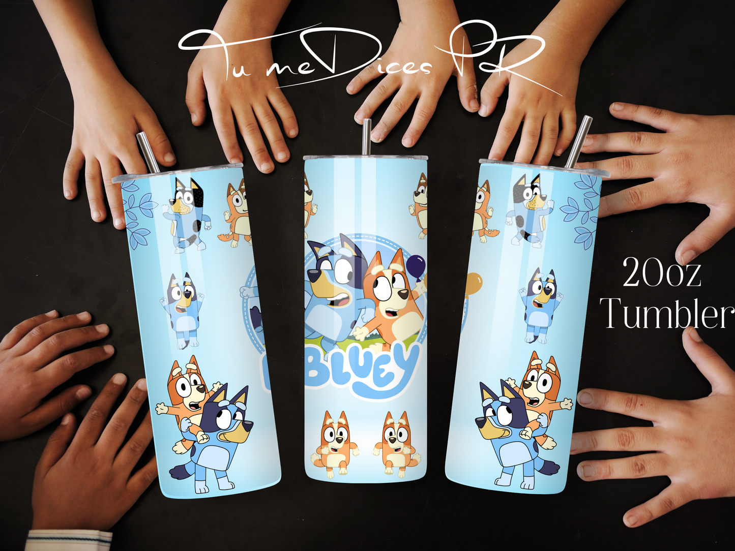 BLUEY Skinny Tumbler