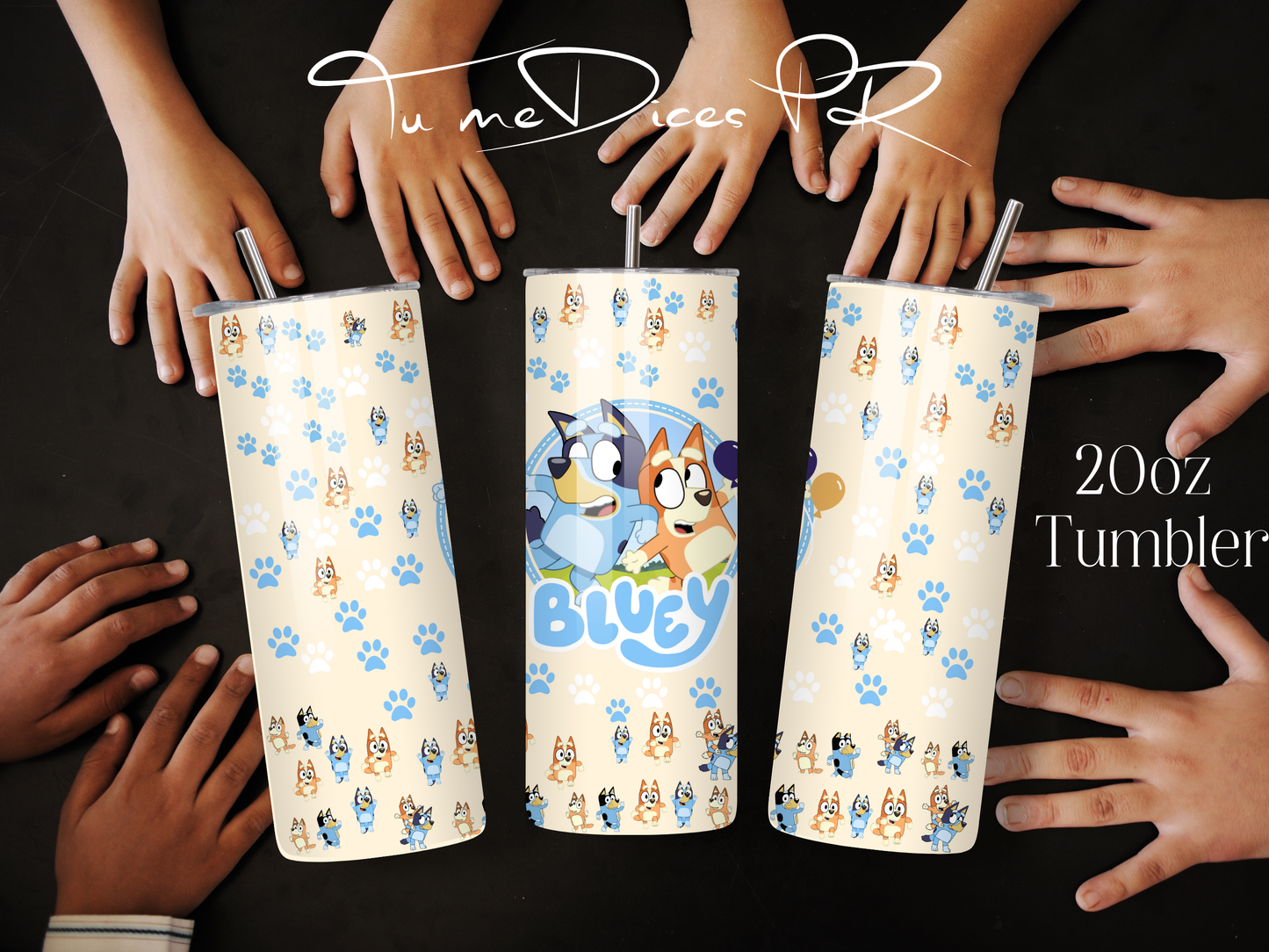 BLUEY Skinny Tumbler