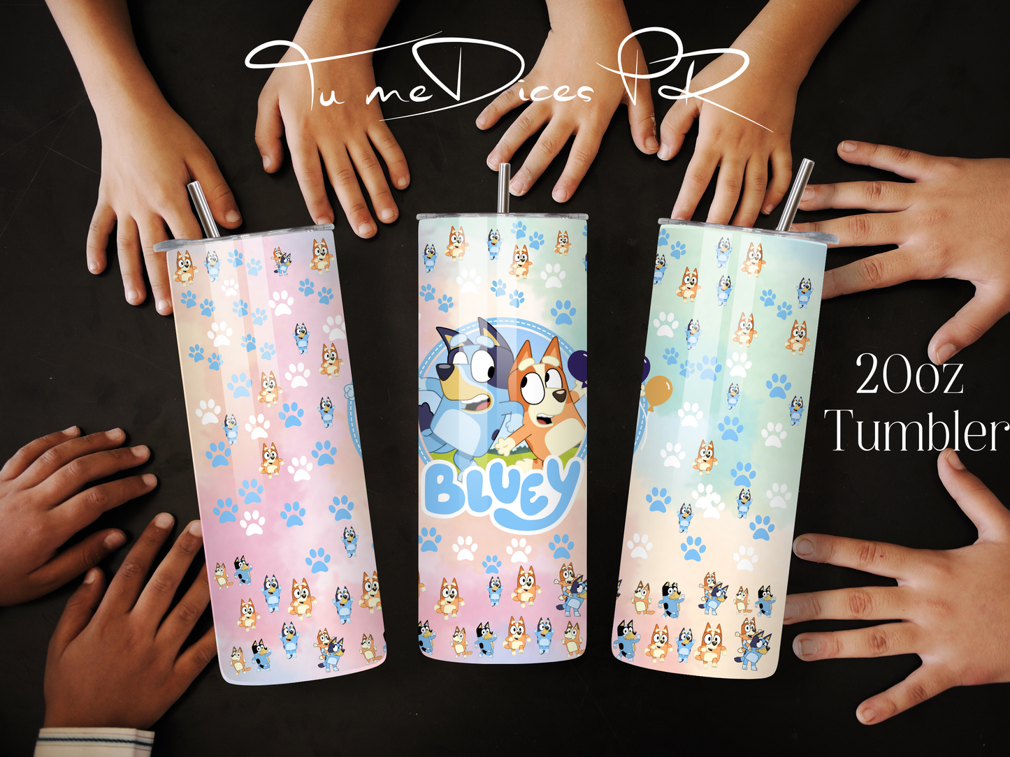 BLUEY Skinny Tumbler