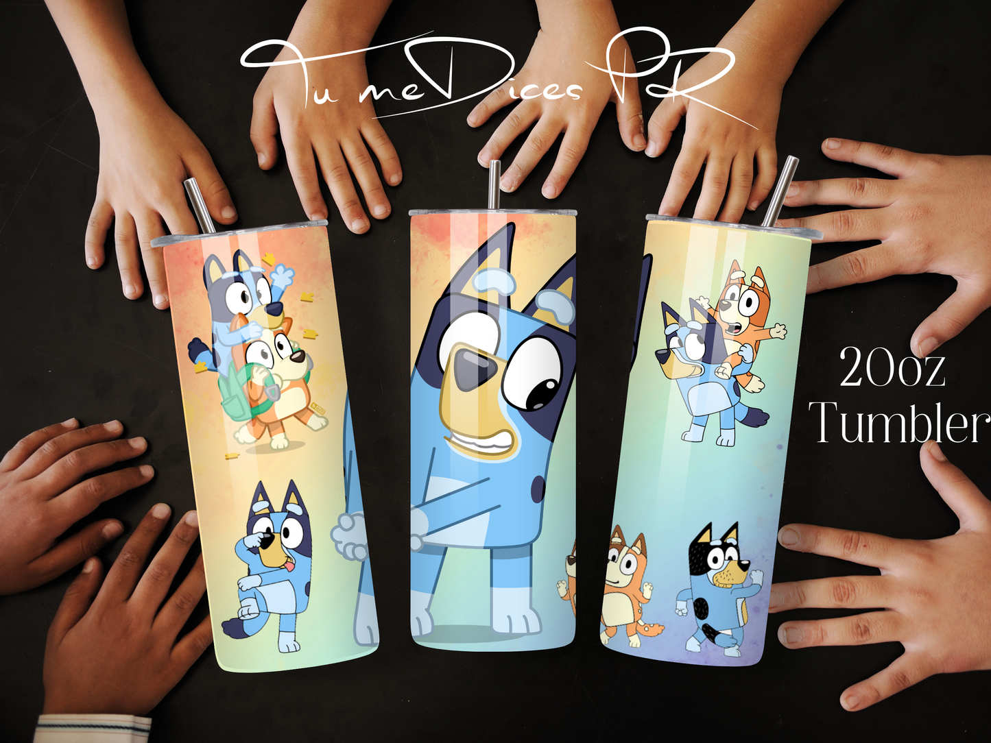 BLUEY Skinny Tumbler