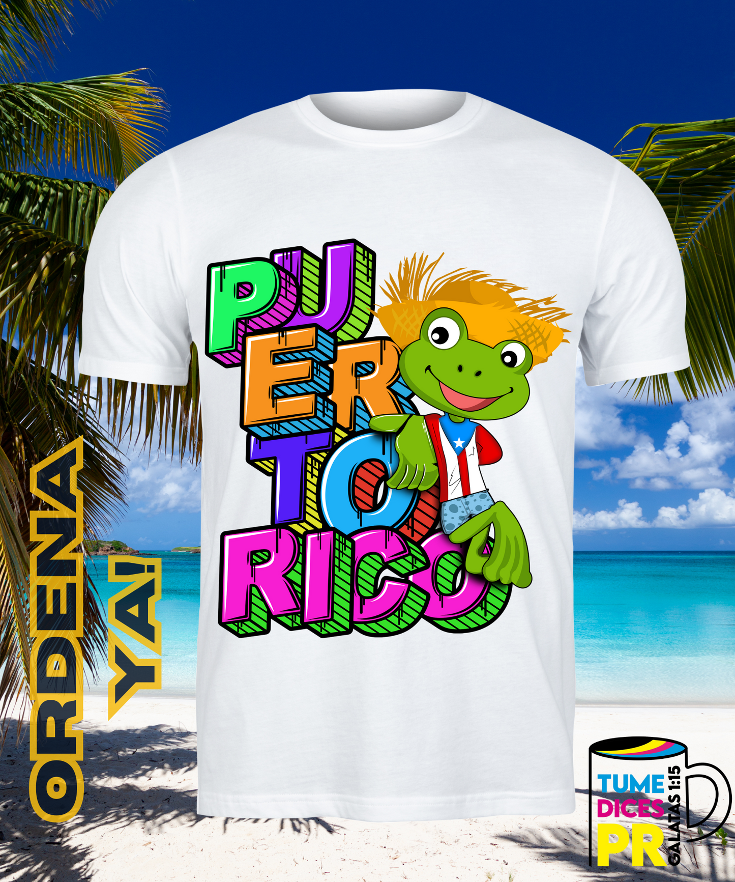 PUERTO RICO Camisetas