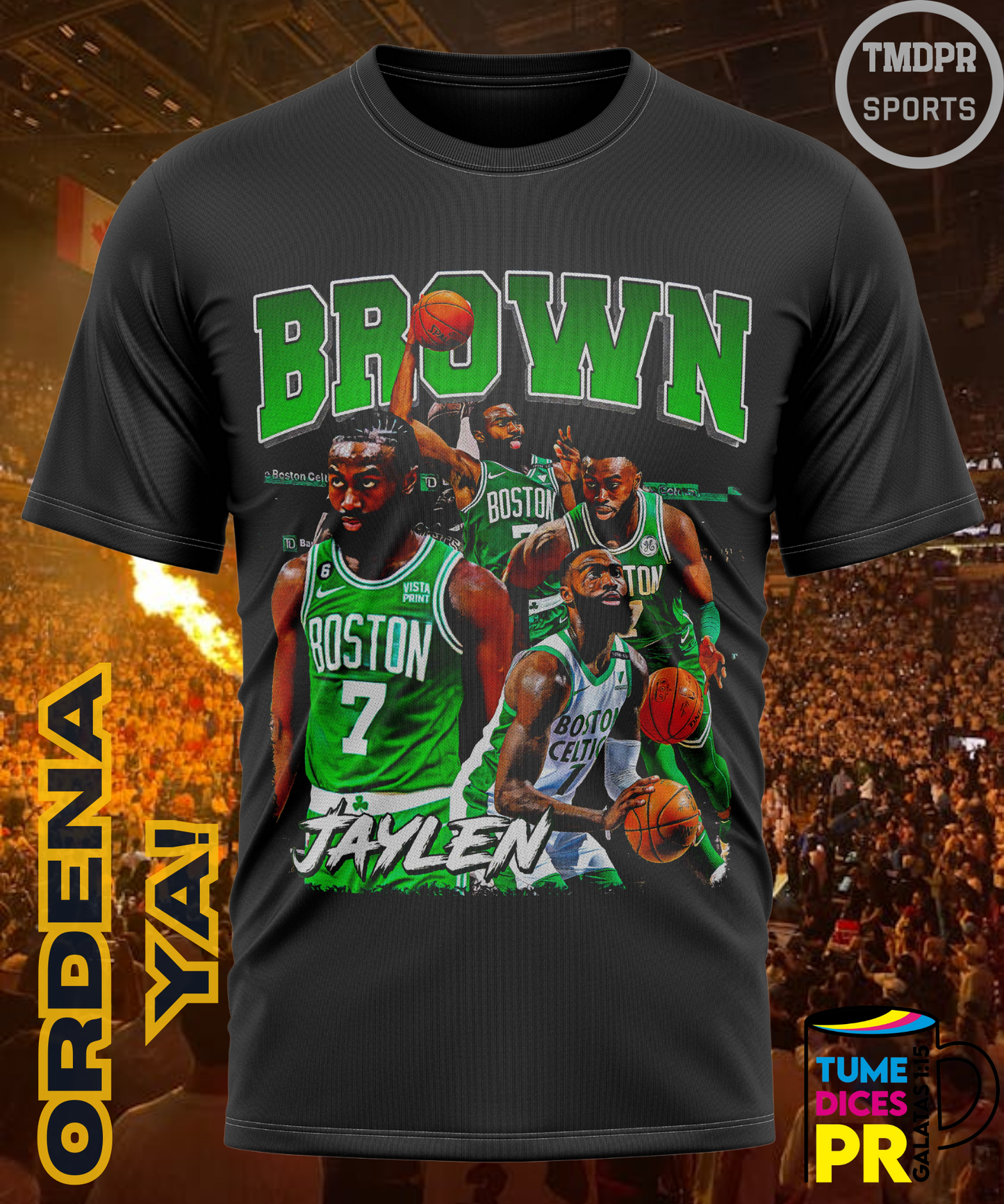 Camiseta semitono NBA BOSTON CELTICS
