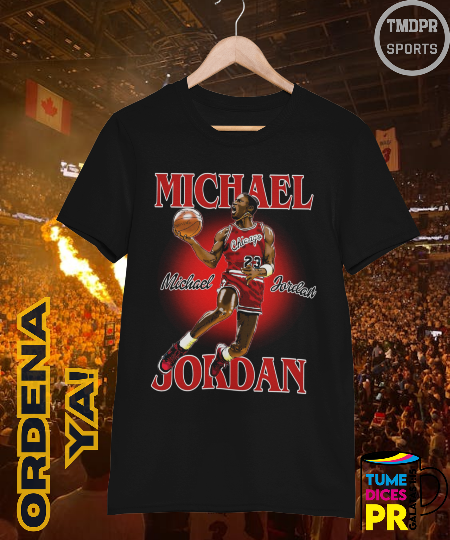 Camiseta semitono NBA MICHAEL JORDAN