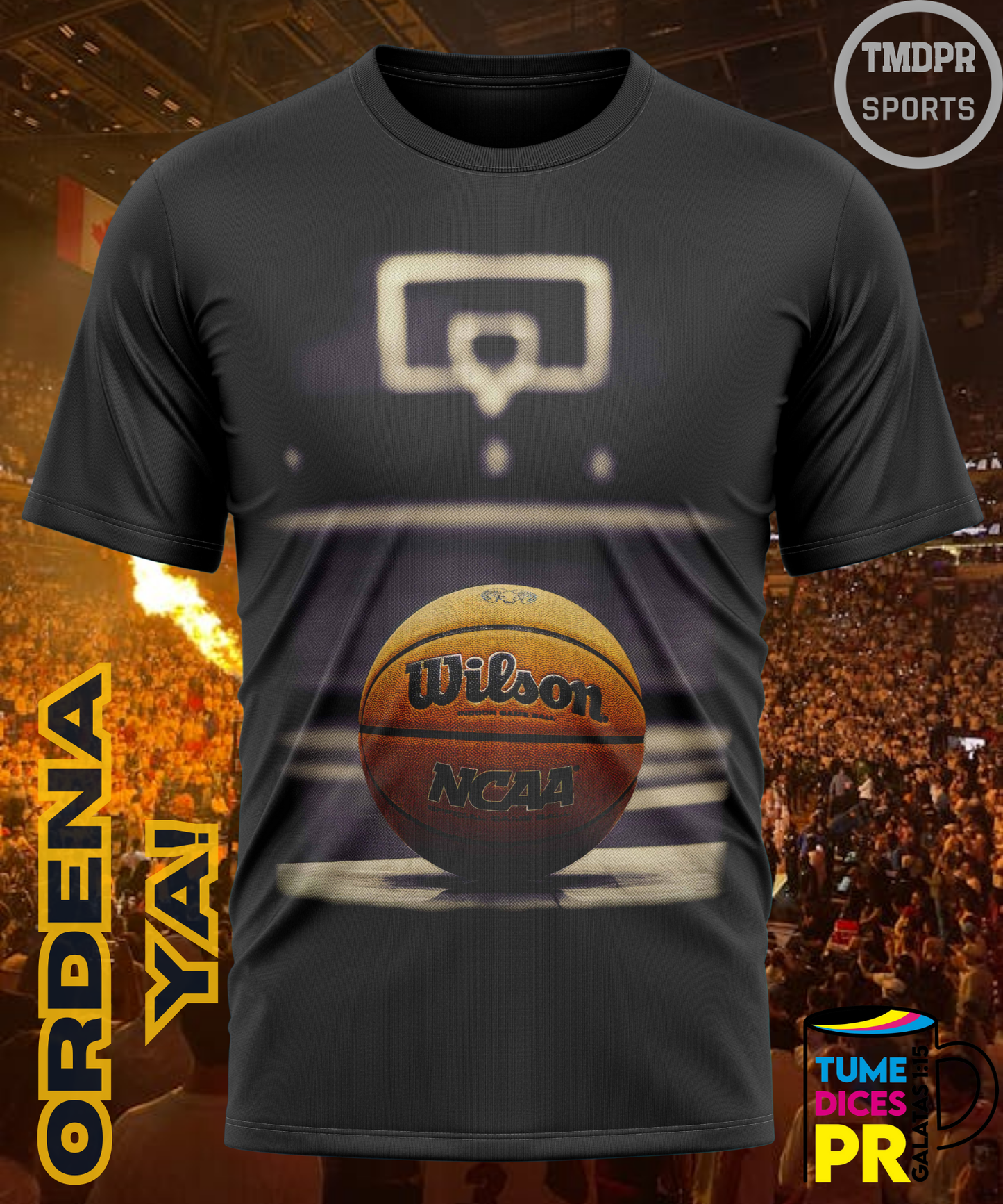 Camiseta semitono NBA BALL