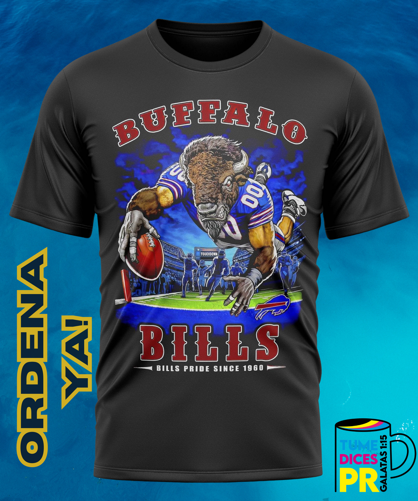Camiseta semitono NFL 2