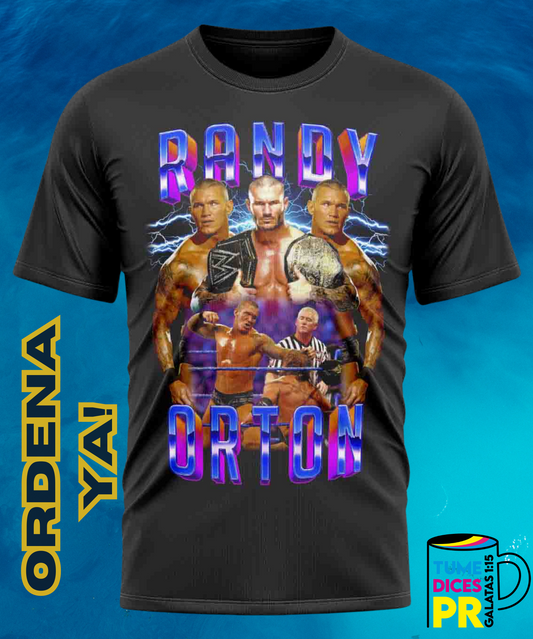 Camiseta semitono WWE